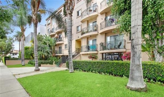 Wilcox Luxury Apartments property image