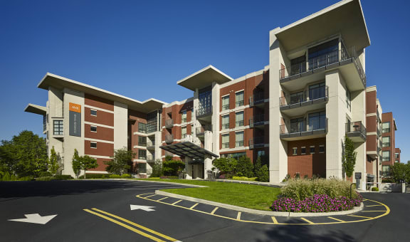 AVE Clifton property image
