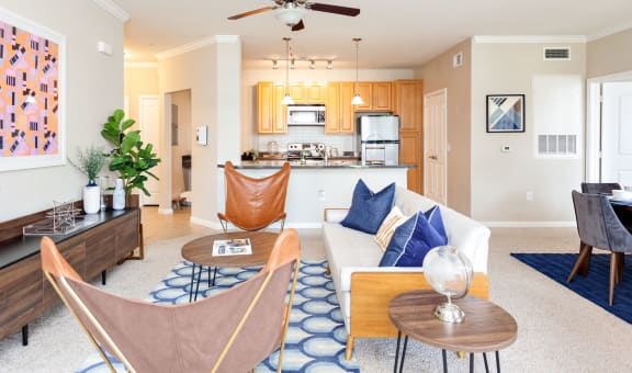 Arch Street property image