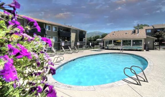 Springwood property image