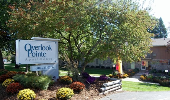 Overlook Pointe property image