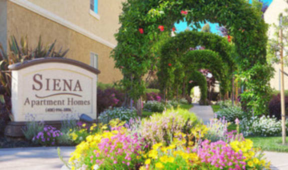 Siena Apartment Homes property image