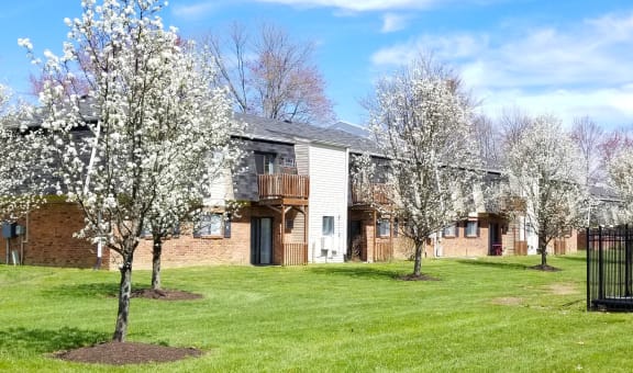 Crown Station Apartments property image