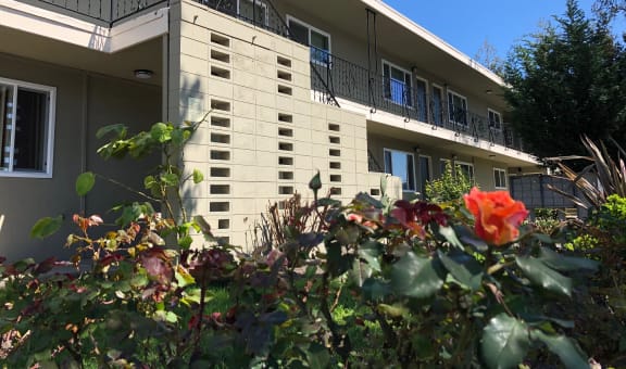 Carmel Plaza Apartments property image