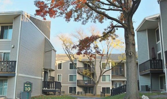 Whitney Ridge Apartments property image