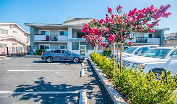 Firestone Apartments property image