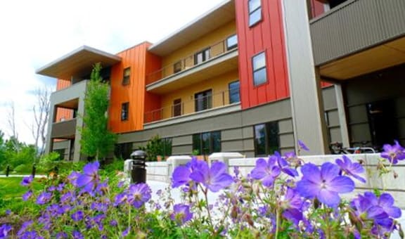 Solstice property image