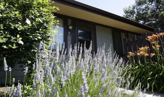 Pineridge Apartments property image