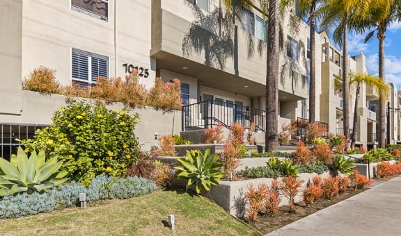 Palms Court property image