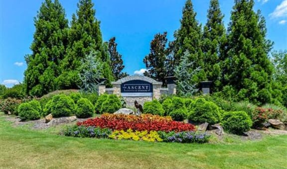 The Ascent at Windward property image