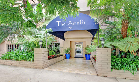 The Amalfi property image