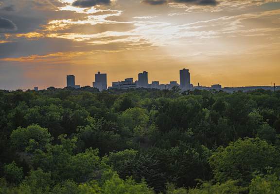 A city skyline is seen through a lush green forest at sunset.