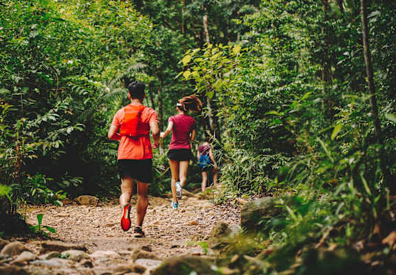 Three people are running on a trail in the woods.