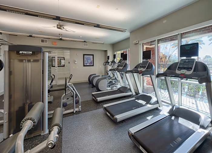 The fitness centre with treadmills, cross trainers and a weight machine