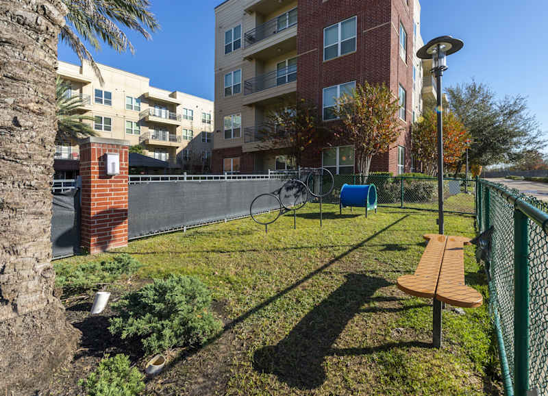 The fenced dog park on a sunny day, with a bench and agility equipment