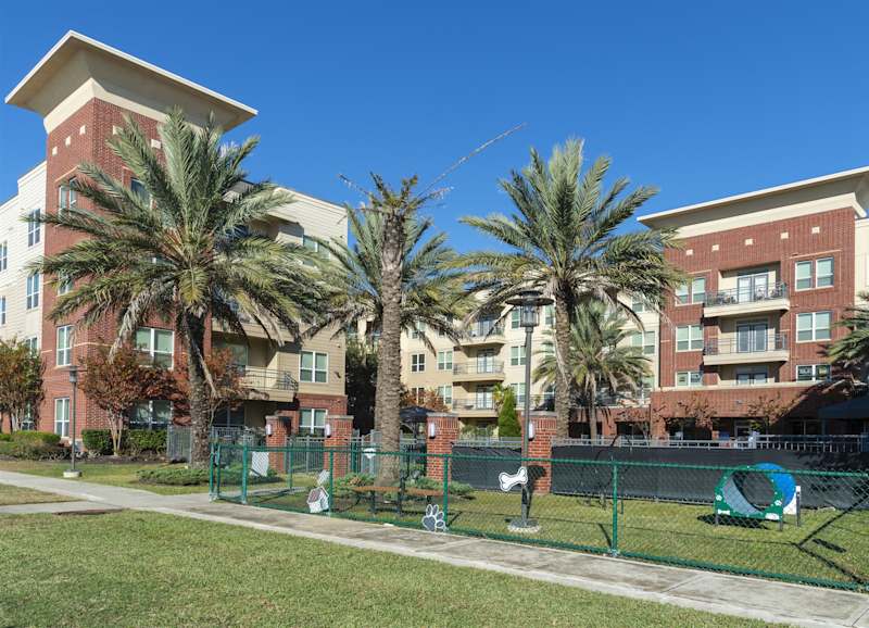 The dog park fence in front of a red brick building with palm trees