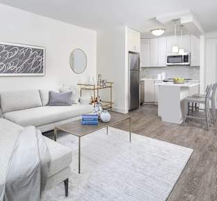 A modern living room with a grey couch and a coffee table.