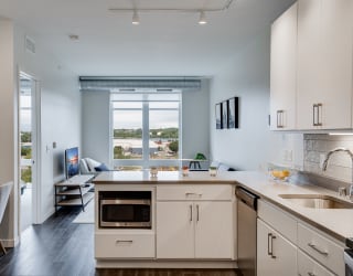 Stainless Steel Microwave and Dishwasher