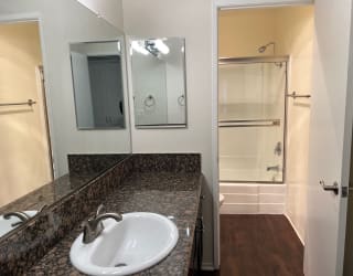 a bathroom with a sink and a mirror and a shower