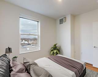 A bedroom with a bed, pillows, a lamp, and a plant.