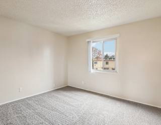 A room with a carpeted floor and a window showing a building outside.