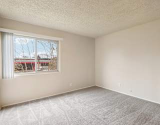 A room with a window and a carpeted floor.