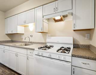 A white kitchen with a stove, sink, and cabinets.
