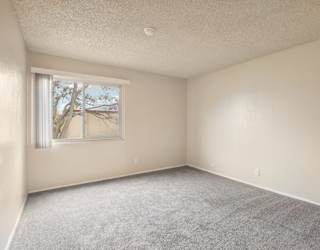 A room with a window and a grey carpet.