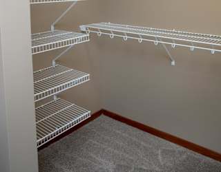 Empty shelves in a closet with a carpeted floor.