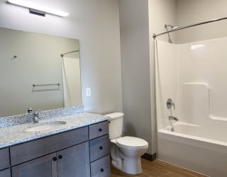 Bathroom with light gray finish and granite counter tops