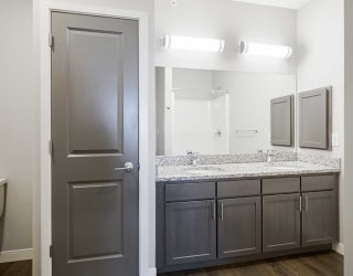 a bathroom with a double vanity sink, a medicine cabinet, and a storage closet