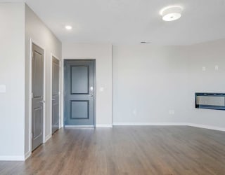 a living room with a storage closet, a pantry and a fireplace