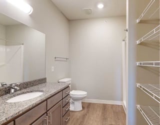 a bathroom with a walk-in shower, a large vanity sink, and built-in shelving