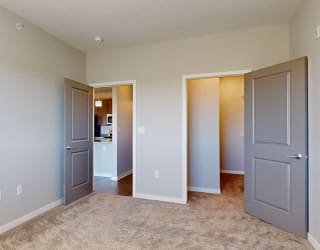 a bedroom with a large walk-in closet and carpeting