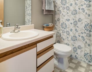 a bathroom with a sink and a toilet