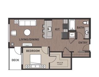 Floor Plan 1 Bedroom Plan 1D
