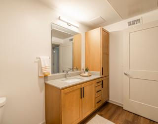 A bathroom with a sink, mirror, and wooden cabinets.