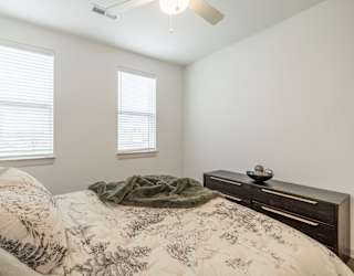 A bedroom with a bed, a plant, and a ceiling fan.