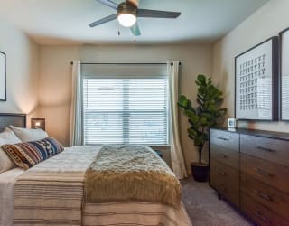 Bedroom With Plenty Of Natural Lights at Paloma, Austin