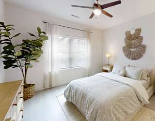 A bedroom with a bed, a ceiling fan, and a plant.