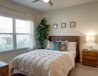 Spacious Bedrooms in Northeast Austin 78754