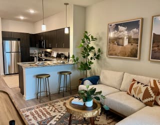 A1 Kitchen & Living Area at Delco Flats, Austin Texas