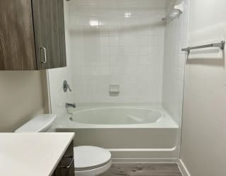a bathroom with a toilet and a bathtub