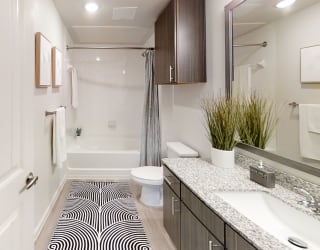 a bathroom with white walls and a black and white rug