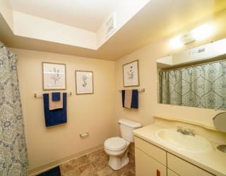A bathroom with a sink, mirror and shower curtain at Dupont Lakes Apartments, Indiana