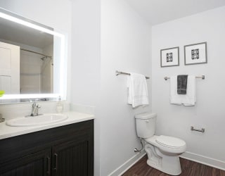 a bathroom with a toilet and a sink and a mirror at Meadowbrooke Apartment Homes, Grand Rapids, Michigan