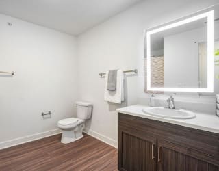 a bathroom with a toilet and a sink and a mirror at Meadowbrooke Apartment Homes, Grand Rapids