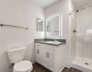 a 2nd bathroom with a walk in shower  at Signature Pointe Apartment Homes, Athens
