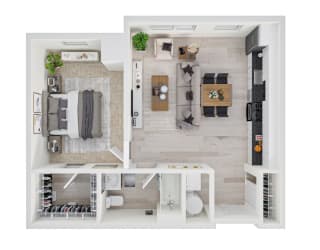 The Annex Bozeman 1x1 C Floorplan