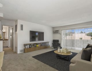 1 bedroom living room area